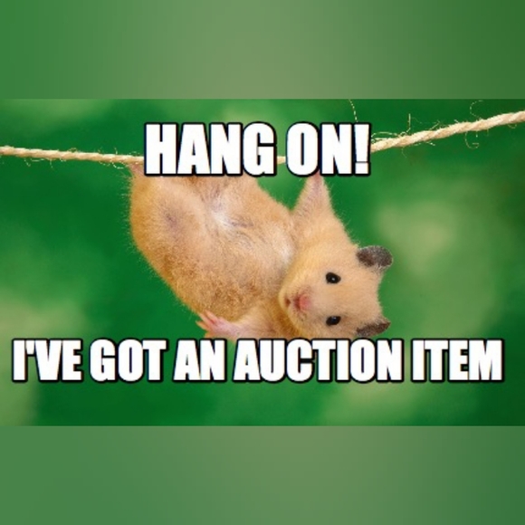 Like a listing to get notified of items in live shows ๐โโ๏ธ ๐โโ๏ธ ๐ - Picture 1 of 5